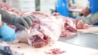 Компания «Атенк» запустила новый этап развития с господдержкой