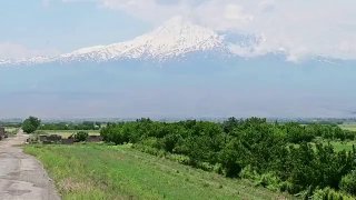Армянские абрикосы оказались в центре торгового спора России и ЕС